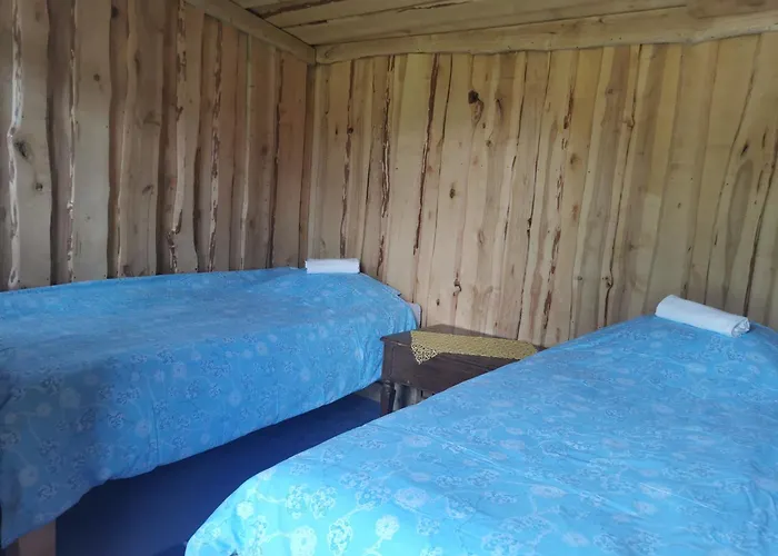 بيت خشبي Paeikesekivi Keskus Ridakula (Viljandi)